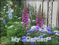 my garden