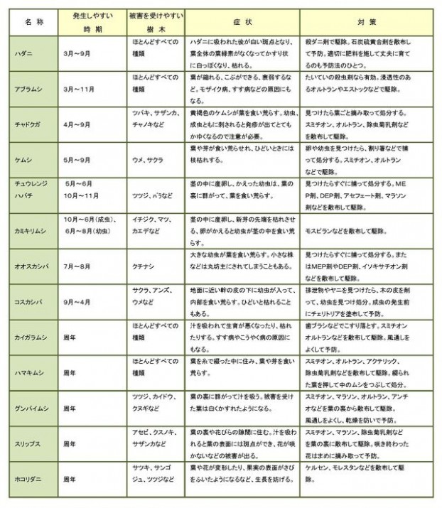 庭木・花で気をつけたい害虫