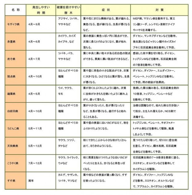 庭木・花で気をつけたい病気