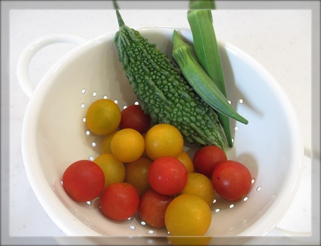 おうち菜園の収穫