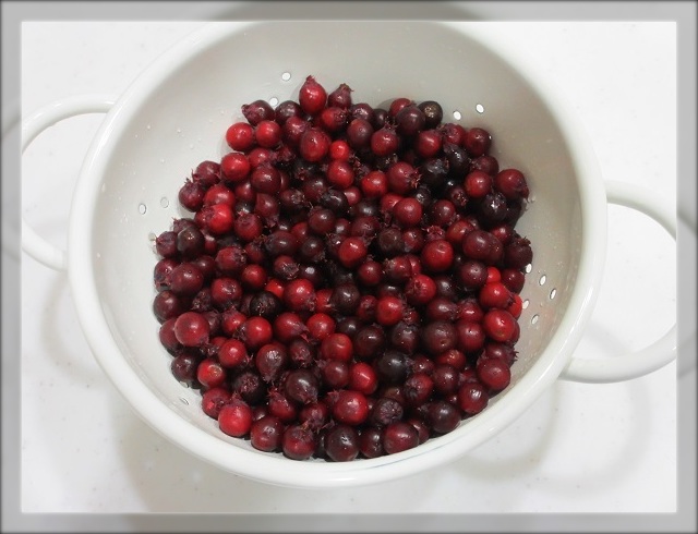 おうち菜園の収穫