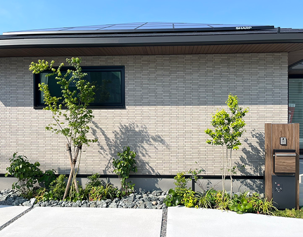 シンプルな、植栽と調和したエクステリア